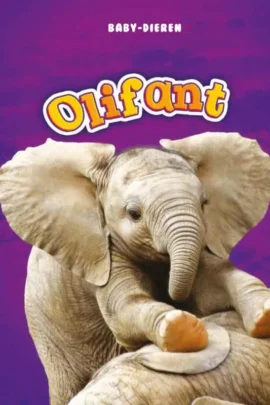 Olifant