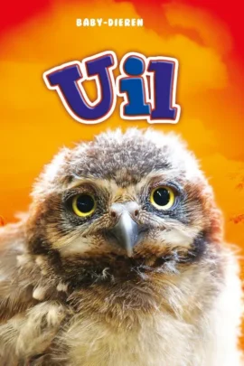Uil