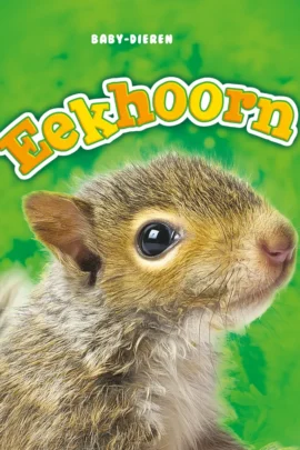 Eekhoorn
