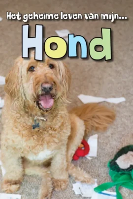 Hond