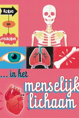 Actie en reactie in het menselijk lichaam