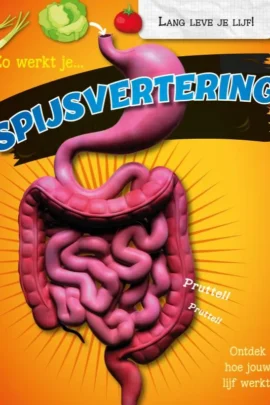 Zo werkt je spijsvertering
