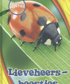 Lieveheersbeestje