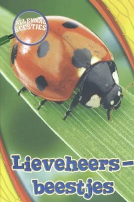 Lieveheersbeestje