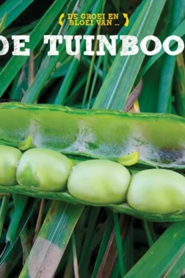 De tuinboon