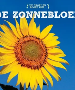 De zonnebloem