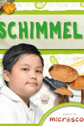 Schimmels