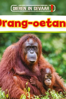 Orang-oetans