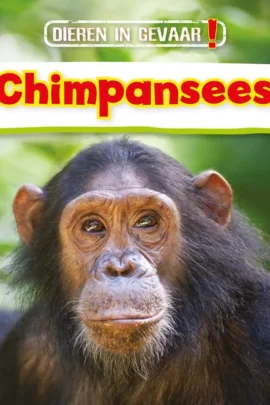 Chimpansees