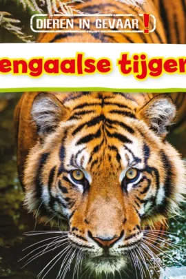 Bengaalse tijgers