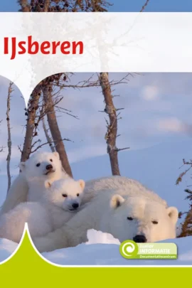 IJsberen