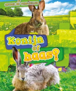 Konijn of haas?
