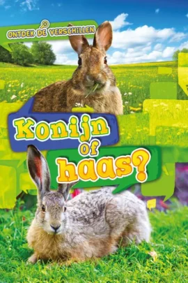 Konijn of haas?