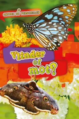 Vlinder of mot?