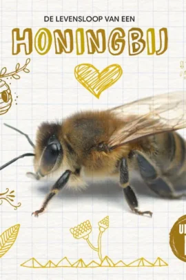 De levensloop van de honingbij
