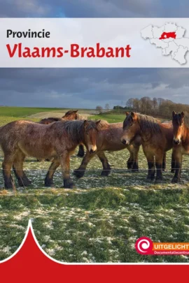 Provincie Vlaams-Brabant