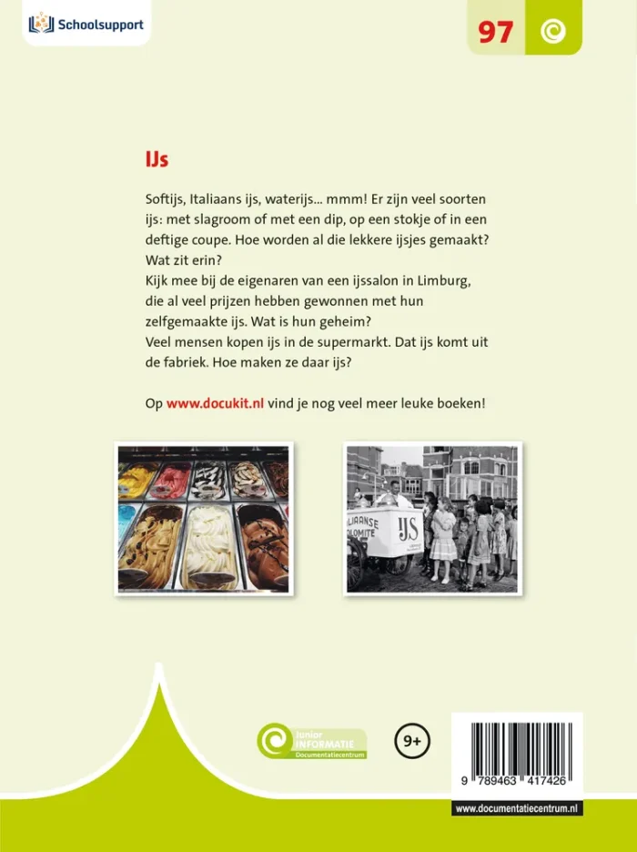 IJs - Afbeelding 2