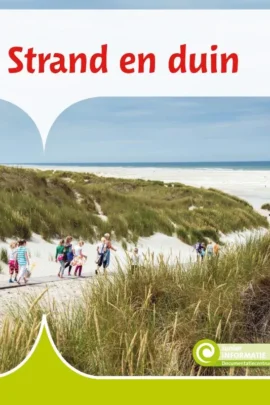 Strand en duin