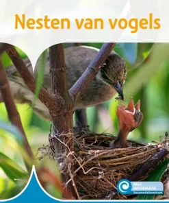 Nesten van vogels