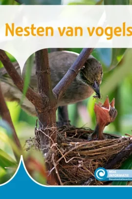 Nesten van vogels