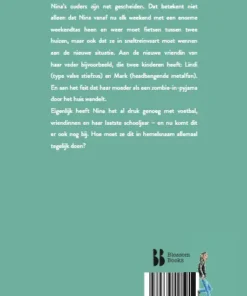 Alternative view of Heerestraat & Rozenlaan