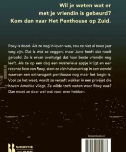 Alternative view of Het penthouse