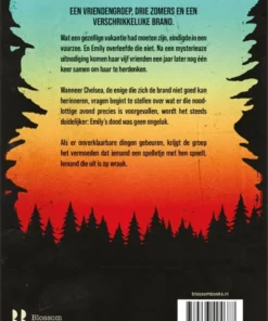 Alternative view of De laatste zomer