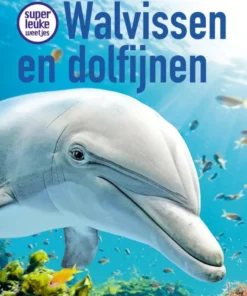 Superleuke weetjes over walvissen en dolfijnen