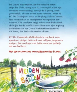 Alternative view of FC De Vlammende Modderduivels