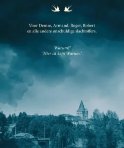 Alternative view of Het dorp van de zwaluwen