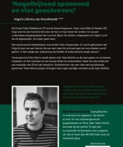 Alternative view of Grafstemmen