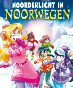 Noorderlicht in Noorwegen