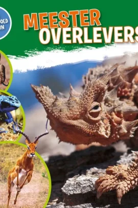 Meesteroverlevers