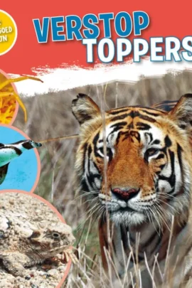 Verstoptoppers