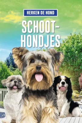 Schoothondjes