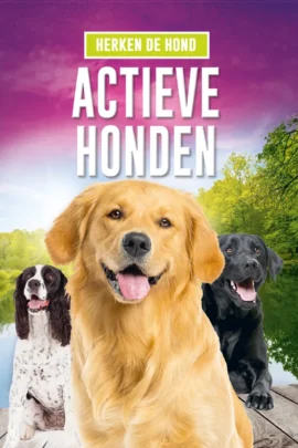 Actieve honden