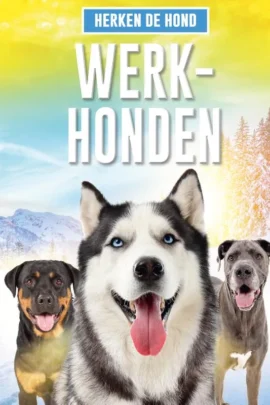 Werkhonden