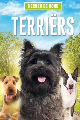 Terriërs