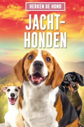 Jachthonden