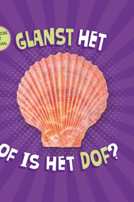 Glanst het of is het dof?