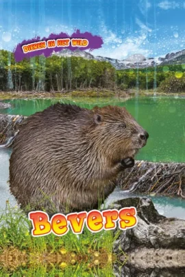 Bevers