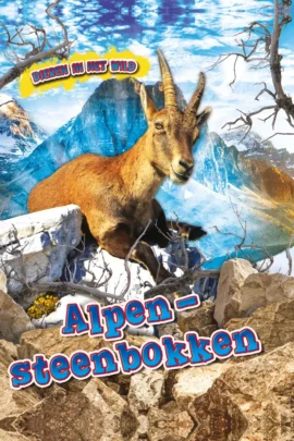 Alpen Steenbokken