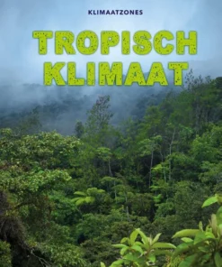 Tropisch klimaat
