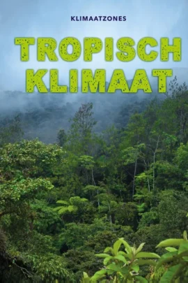 Tropisch klimaat