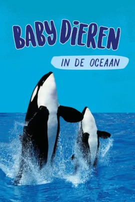 In de oceaan