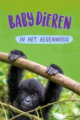 Babydieren in het regenwoud
