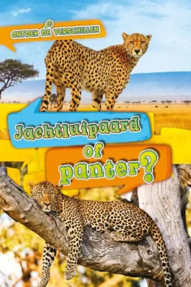 Jachtluipaard of panter?