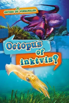 Octopus of inktvis?