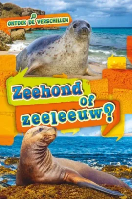 Zeehond of zeeleeuw?