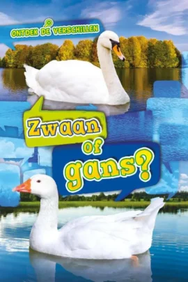 Zwaan of gans?